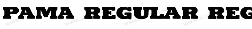 PAMA REGULAR Regular字体转换